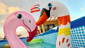 Two inflatable swans in a pool with a blue tiled floor and a flag in the background. - HOSTEL OF SANTURCE (San Juan)