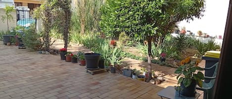 Terras