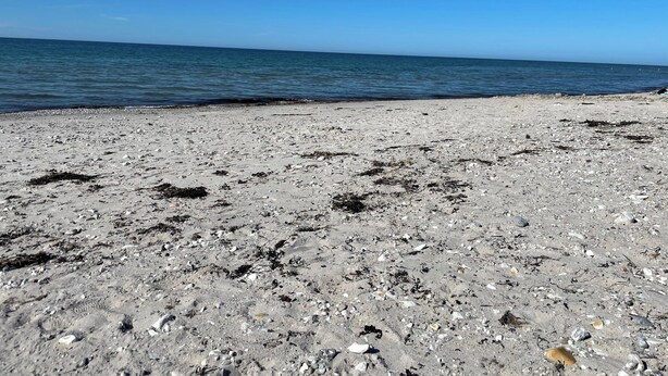 Una playa con cielo despejado y mar tranquilo.