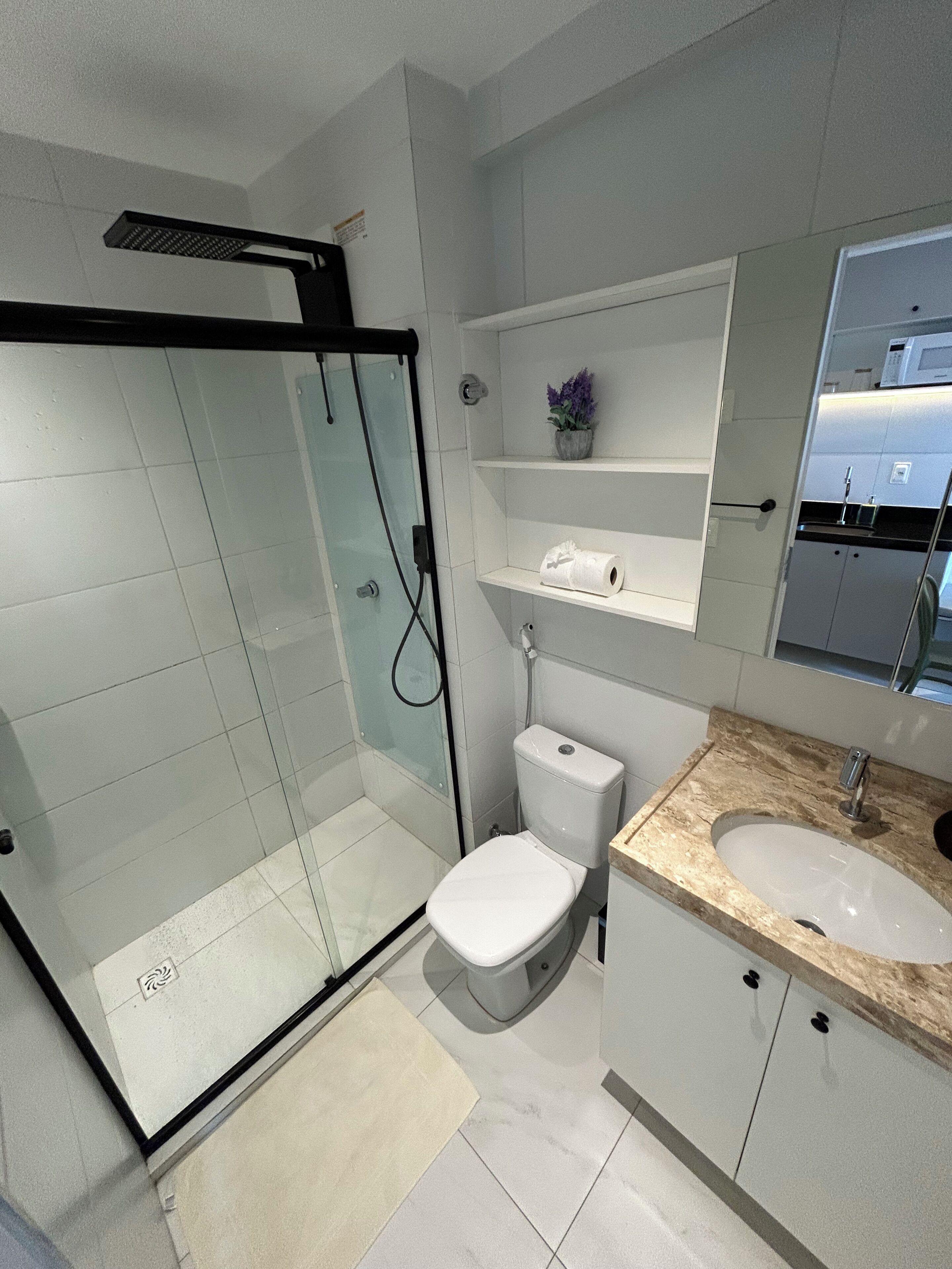 A modern bathroom with a glass-enclosed shower, a toilet, a sink with a marble countertop, and a small shelf with a potted plant.