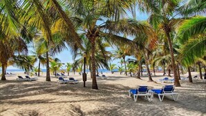 A beach with palm trees and sun loungers.