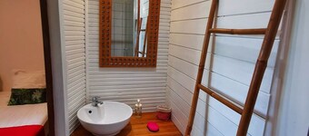 The Horizon of the Balisiers