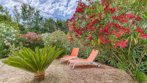 Un jardín con dos sillones naranjas, una palmera y diversas plantas con flores.