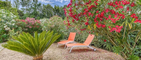 A garden with two orange lounge chairs, a palm tree, and various flowering plants.