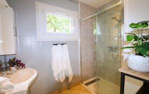 Shower, hair dryer