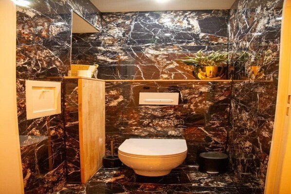 Hair dryer, towels, soap, toilet paper