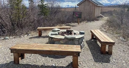 Into the Wild Cabin