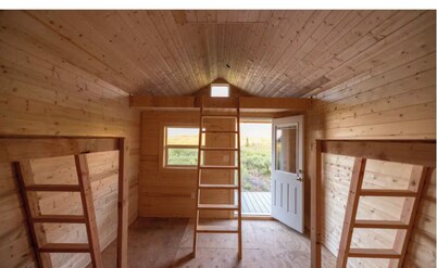 Into the Wild Cabin