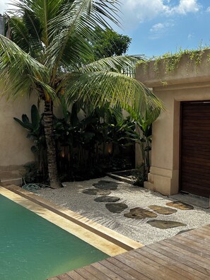 Garden view