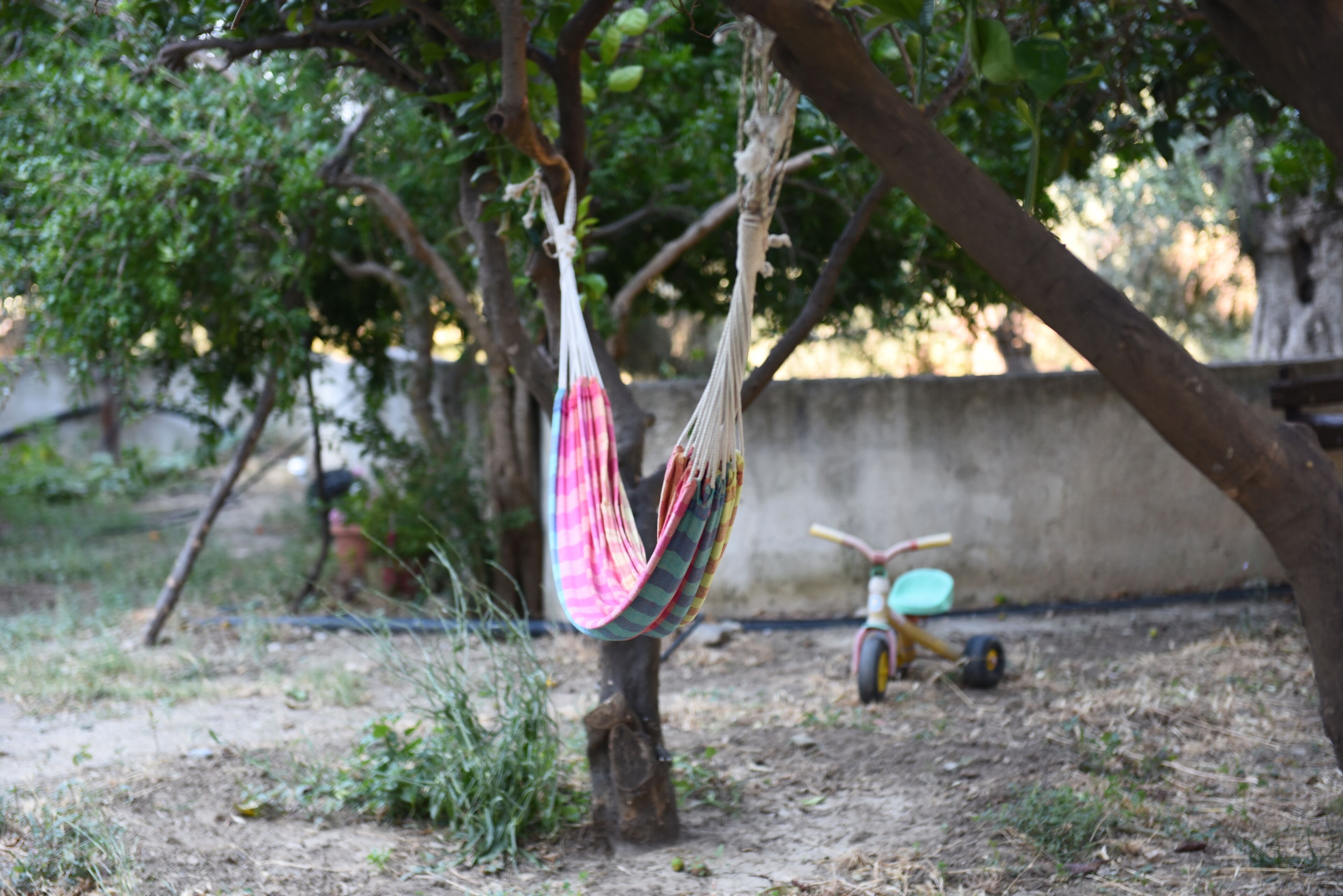 A hammock hanging from a tree in a garden area with a toy car in the background.
