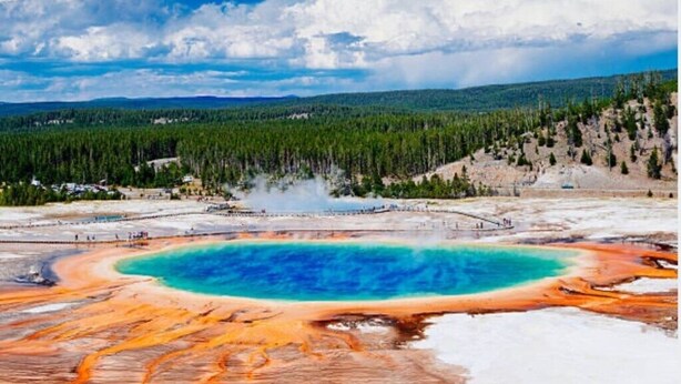 Vista panorámica de un área geotérmica con una gran piscina turquesa, depósitos minerales circundantes y un fondo boscoso.