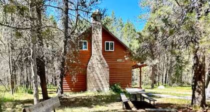 Spruce Fly on Bill's Island! Enjoy four private bedrooms and 2 full bathrooms!