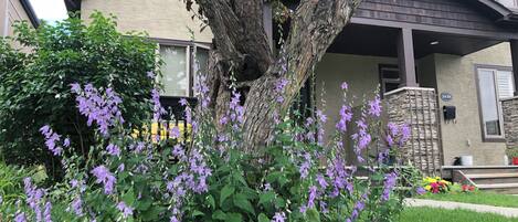 DĂ©tail de lâextĂ©rieur