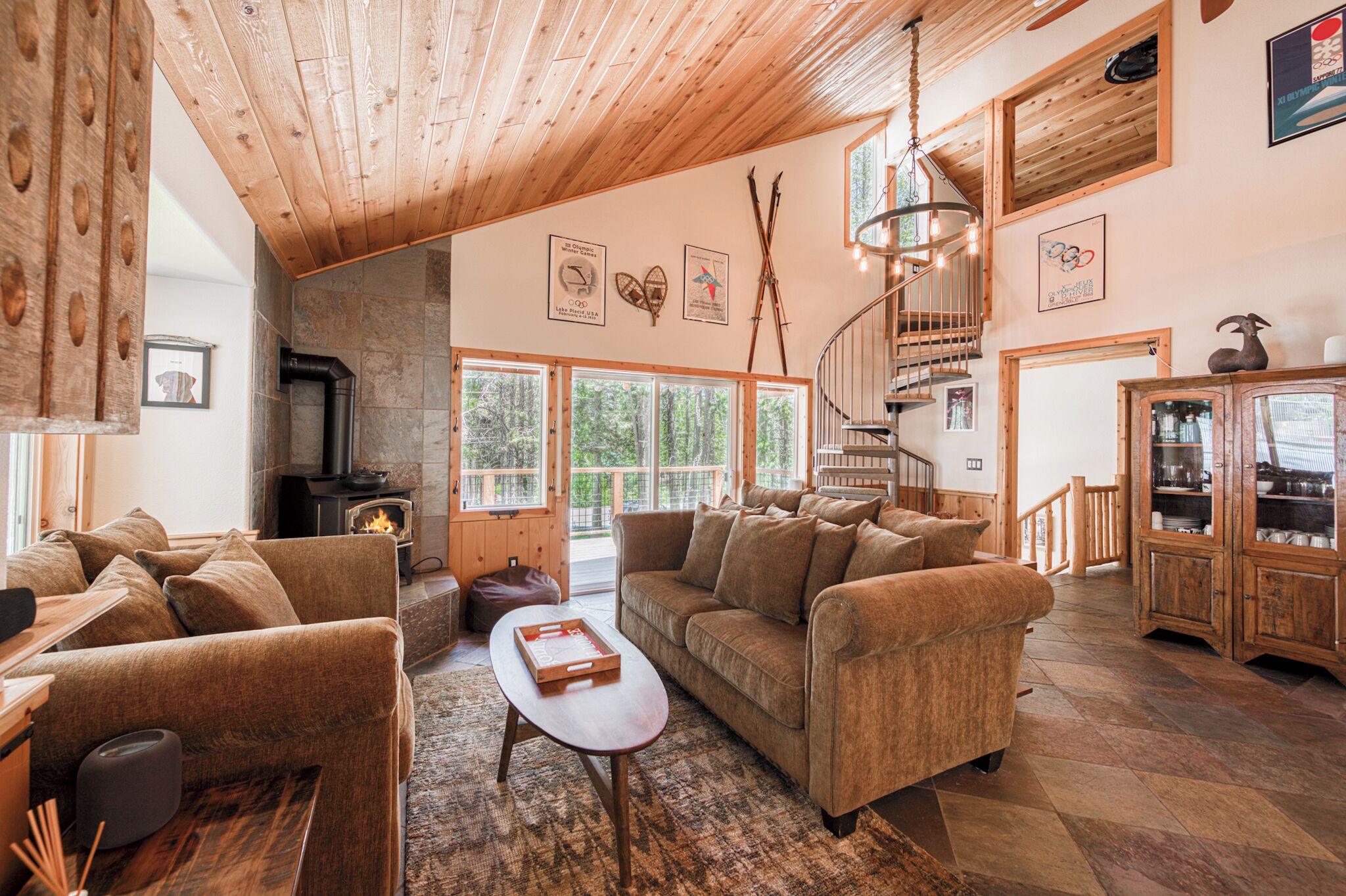 TV connectée, cheminée, jeux vidéo, médiathèque