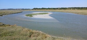 On the beach - ô nid des grèves - LANGUEUX (LANGUEUX)