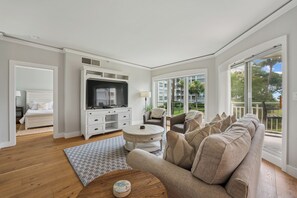 TV, DVD player, video library