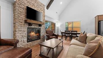 Smart TV, fireplace, books