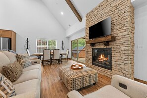 Smart TV, fireplace, books