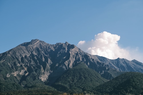 バルコニーからの眺望