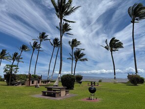 Property grounds - Spacious Molokai Style Condo - Locally Owned (Kaunakakai)