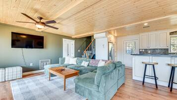 Smart TV, fireplace, DVD player, books