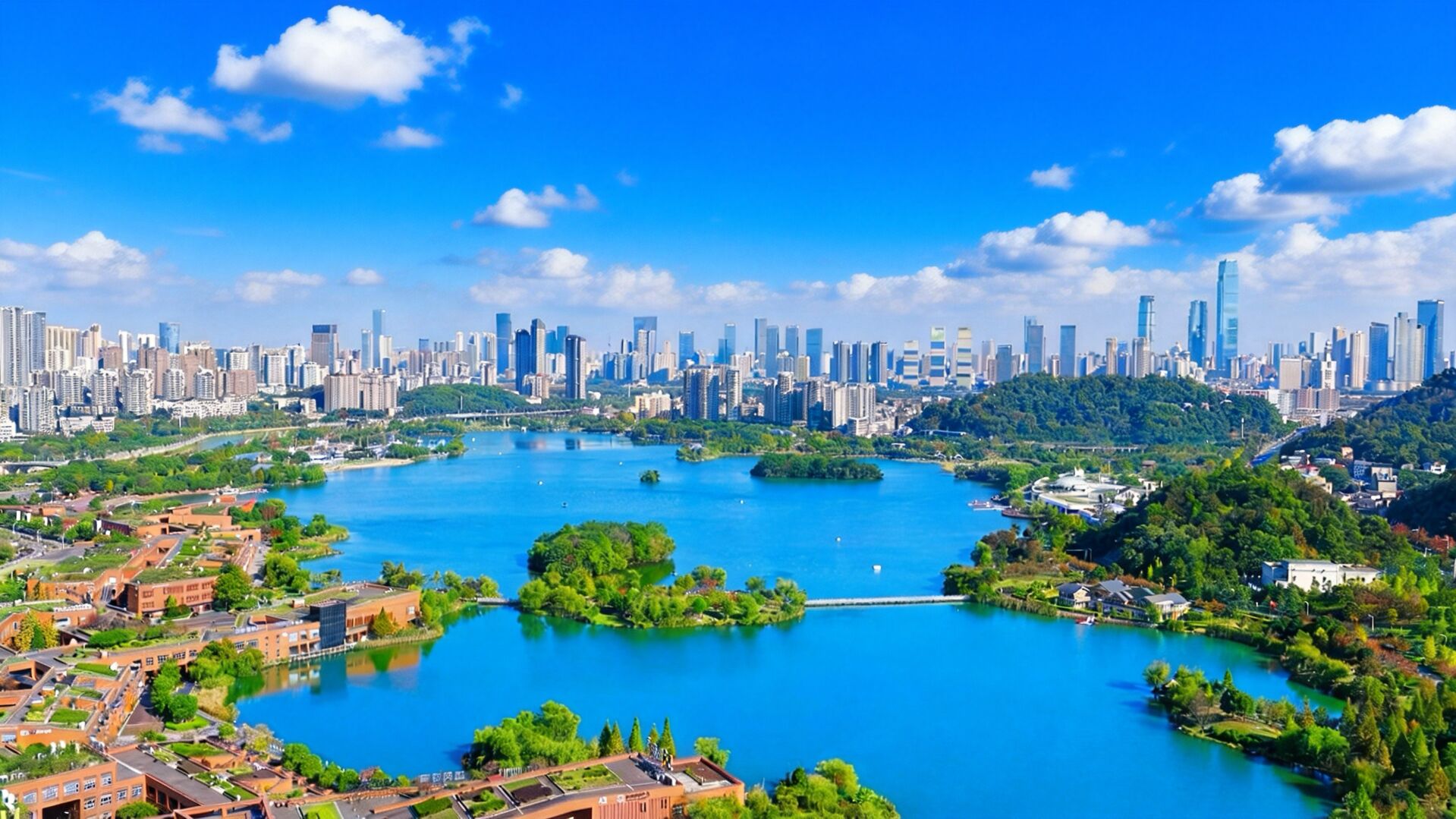 Premium bedding, down comforters, minibar, in-room safe