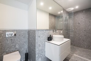 Shower, hair dryer, towels