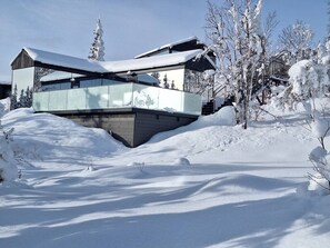 A modern house with a glass facade, surrounded by snow-covered trees and a clear sky.