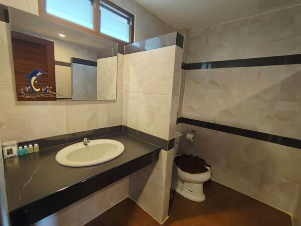Un baño con un lavamanos blanco, un espejo y un inodoro.