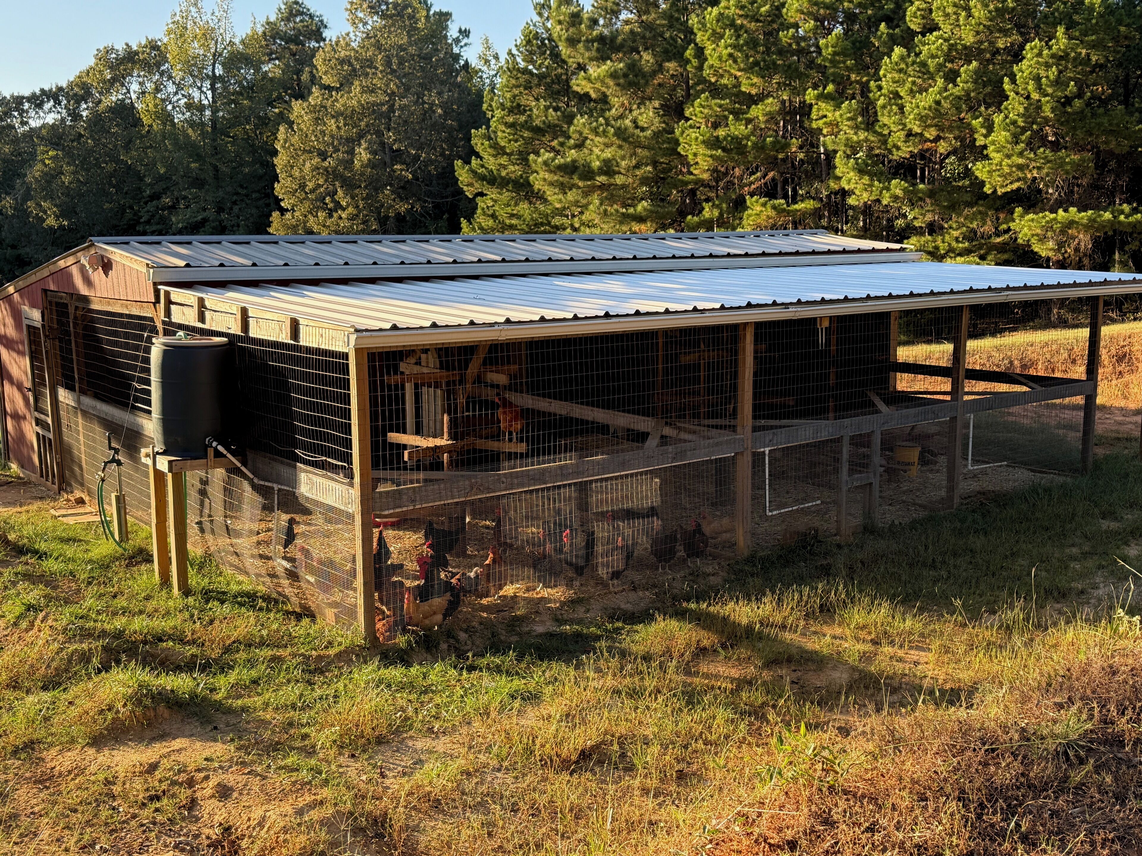 A farm with a metal-roofed barn and chicken coop.