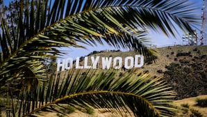 Het Hollywood-bord met palmbladeren voorop.