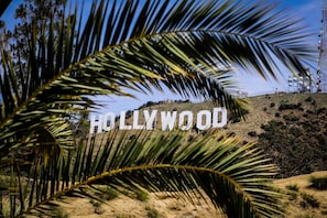 Le panneau Hollywood, avec des palmiers au premier plan.
