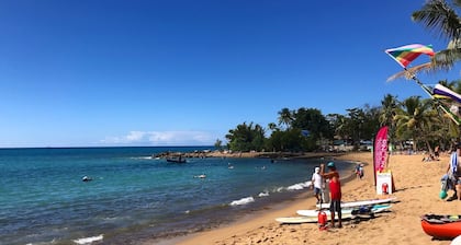 Estudio de Playa Tranquilo en el Corazón de Puntas