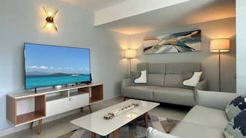 TV, books