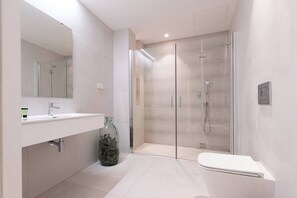 Secador de cabelo, toalhas de banho