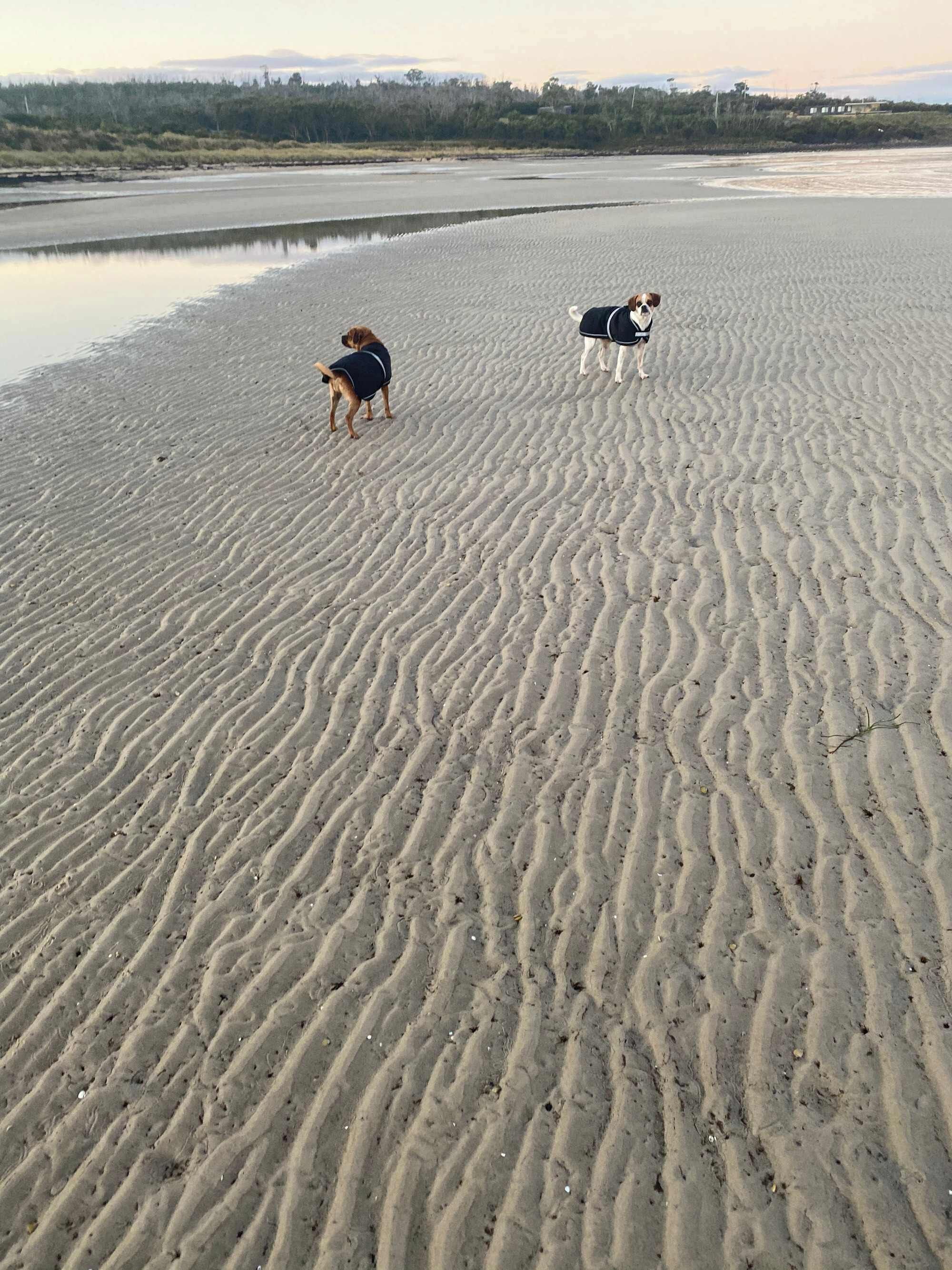 Plage