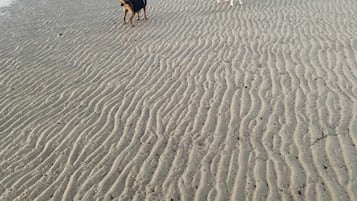 On the beach