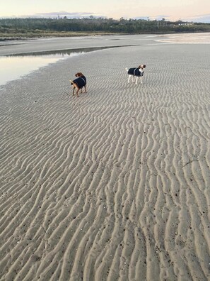 On the beach