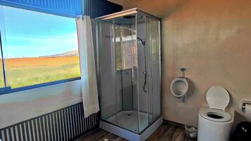 Shower, towels, toilet paper