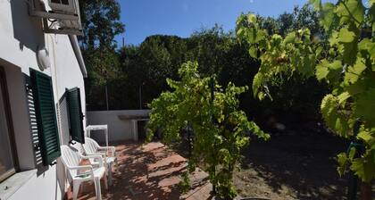 Detached villa with recently renovated garden
