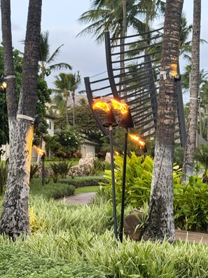 Terrein van de accommodatie