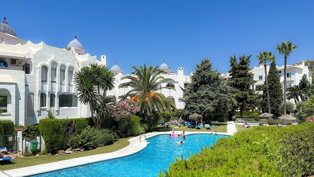 A swimming pool with a curved edge, surrounded by lush greenery and palm trees.