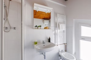 Shower, hair dryer, bidet