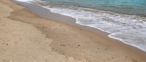 Pêche sur place