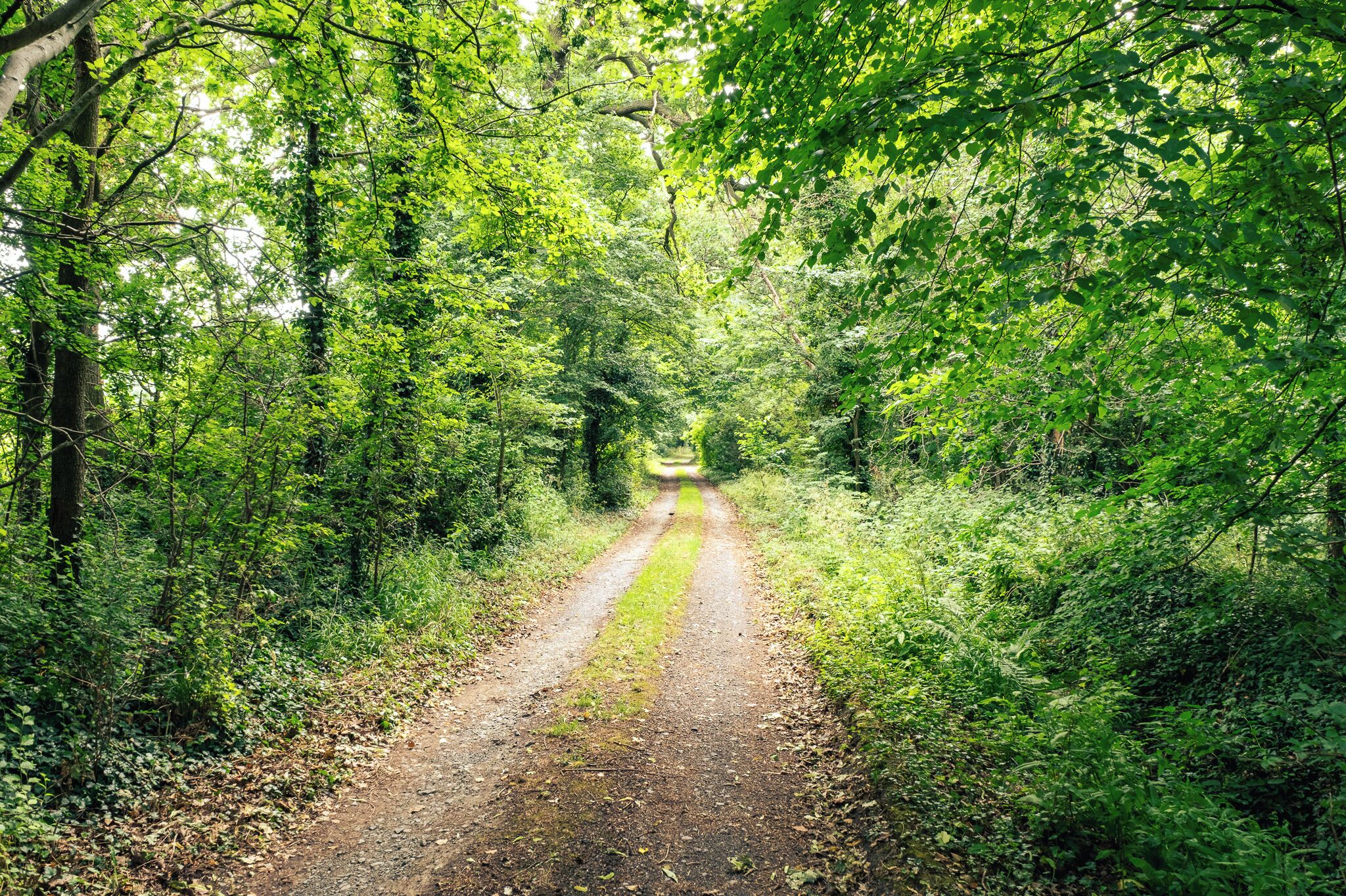 Land view from property