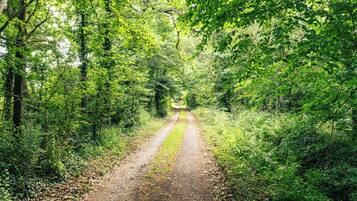 Land view from property