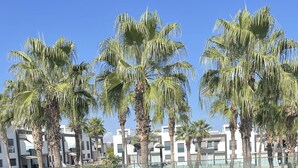 A view of a pool area with palm trees and a modern building in the background.
