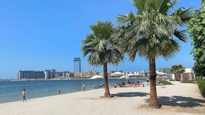 Une plage bordée de palmiers, un ciel dégagé et, au loin, une vue sur la ville.