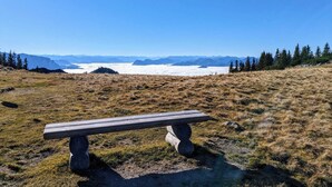A bench in a grassy field with a view of distant mountains and a glacier. - 90-square-meter vacation rental for 2 to 6 people (Staudach-Egerndach)