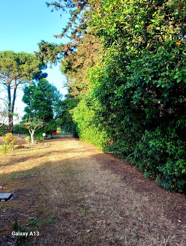 Property grounds